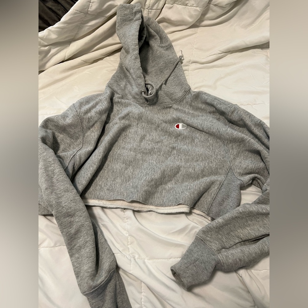 Champion cropped hoodie XS